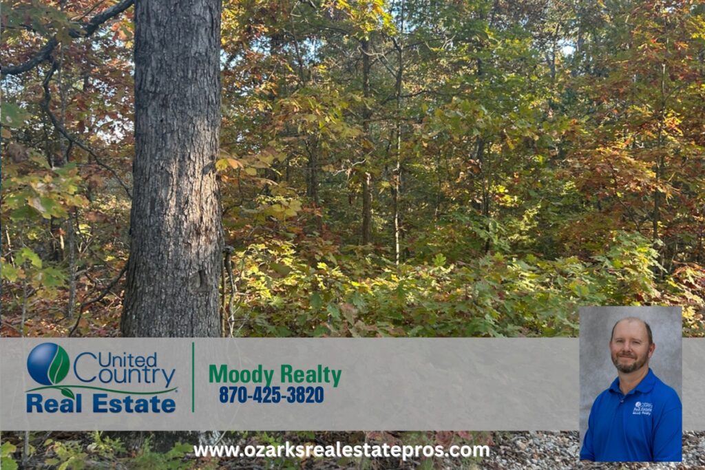 Property photo for land for sale in Baxter County Arkansas
