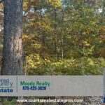 Property photo for land for sale in Baxter County Arkansas