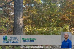 Property photo for land for sale in Baxter County Arkansas