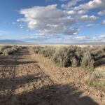 Property photo for land for sale in Modoc County California