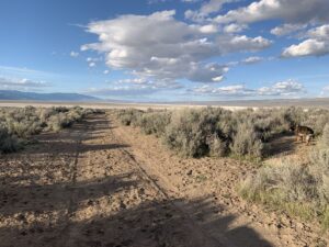 Property photo for land for sale in Modoc County California