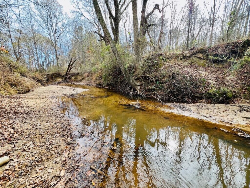 6cd1906e-34d3-4eff-9736-2bef00be0a1e