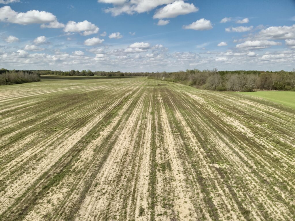 Property photo for land for sale in Houston County Alabama