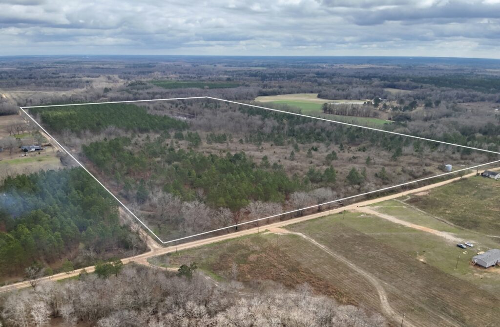 Property photo for land for sale in Geneva County Alabama