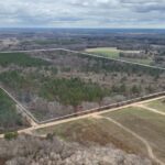 Property photo for land for sale in Geneva County Alabama