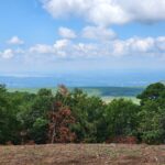 Property photo for land for sale in Le Flore County Oklahoma