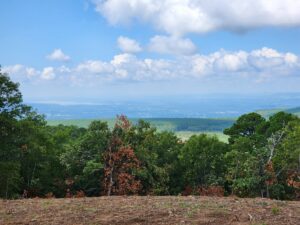 Property photo for land for sale in Le Flore County Oklahoma