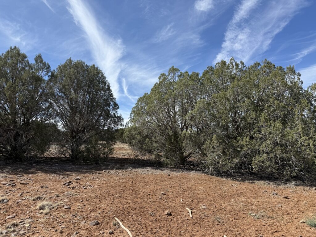 Property photo for land for sale in Navajo County Arizona
