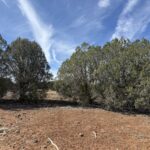 Property photo for land for sale in Navajo County Arizona