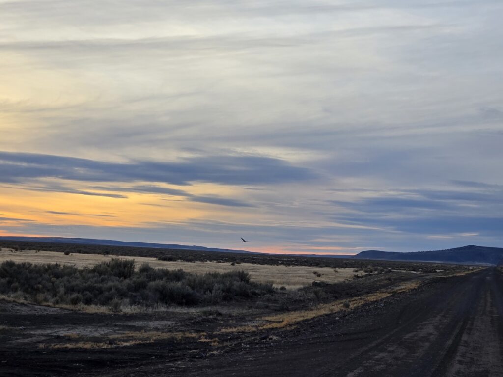 Property photo for land for sale in Harney County Oregon