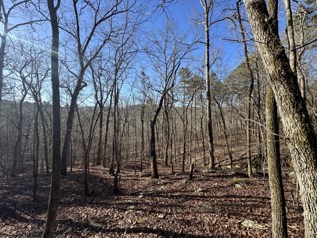 Property photo for land for sale in Cleburne County Arkansas