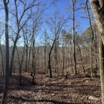 Property photo for land for sale in Cleburne County Arkansas