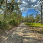 Property photo for land for sale in Gilchrist County Florida