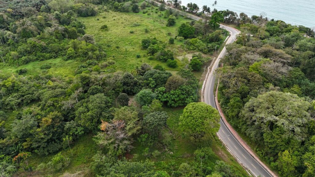 Property photo for land for sale in  County Panama