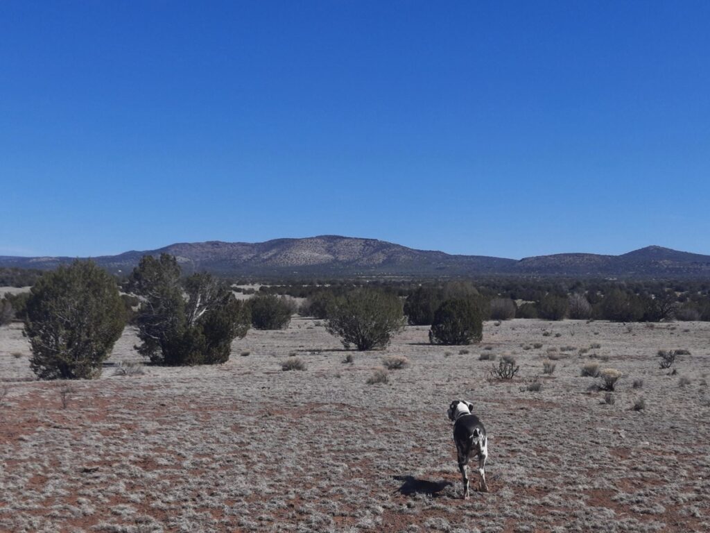 Property photo for land for sale in Yavapai County Arizona