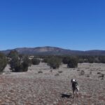 Property photo for land for sale in Yavapai County Arizona