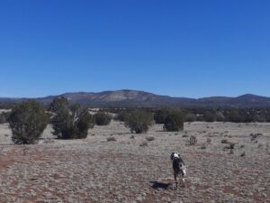 Property photo for land for sale in Yavapai County Arizona