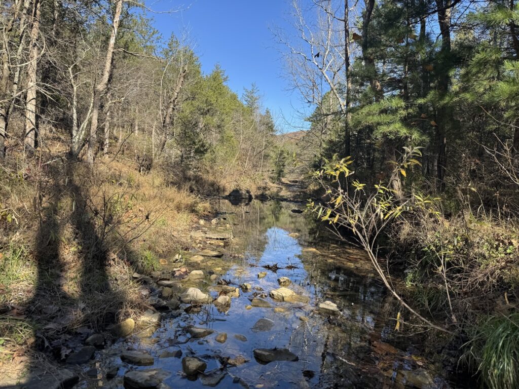 Property photo for land for sale in Izard County Arkansas