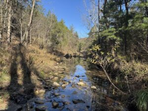 Property photo for land for sale in Izard County Arkansas