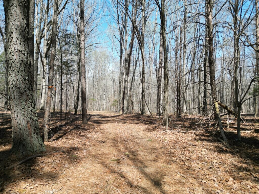 Property photo for land for sale in Davidson County North Carolina