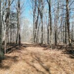 Property photo for land for sale in Davidson County North Carolina