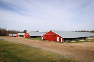 Property photo for land for sale in Claiborne County Louisiana