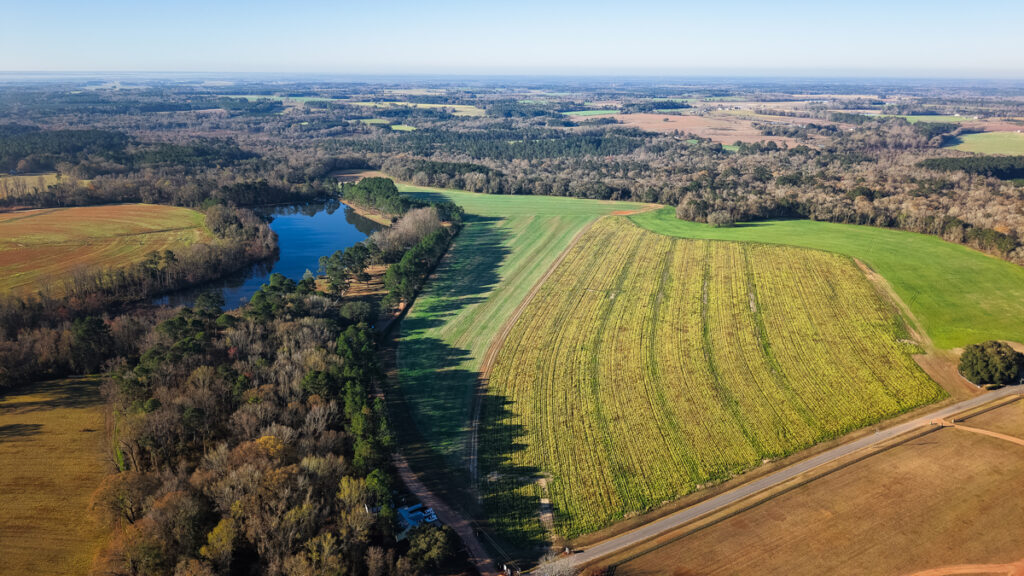 Property photo for land for sale in Colquitt County Georgia