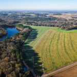 Property photo for land for sale in Colquitt County Georgia