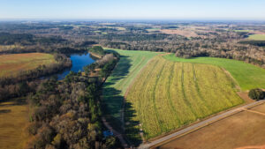 Property photo for land for sale in Colquitt County Georgia