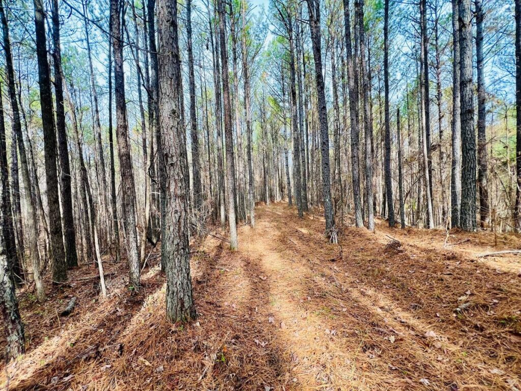 834e5544-563e-4774-905f-f8fe1083ed5b