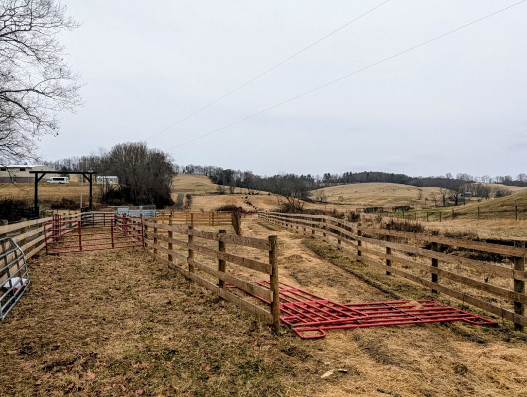 895c25a8-a7da-4a1c-b9bc-6efa64e4c533