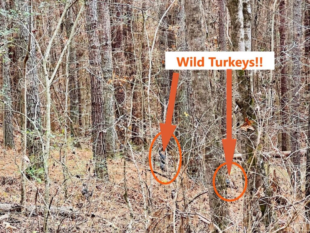 89793a20-b52d-47bf-bef1-705e5aed6026