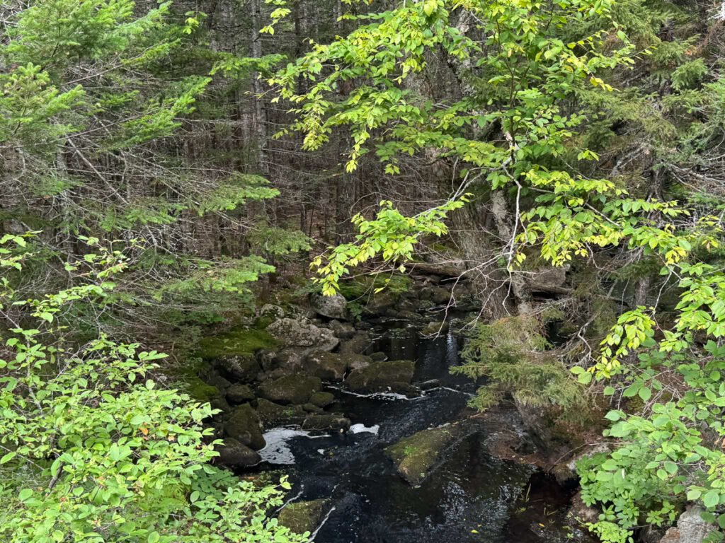 Property photo for land for sale in Washington County Maine