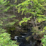 Property photo for land for sale in Washington County Maine