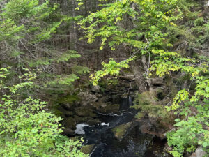 Property photo for land for sale in Washington County Maine