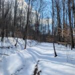 Property photo for land for sale in Washington County Ohio