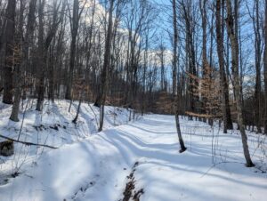 Property photo for land for sale in Washington County Ohio