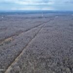 Property photo for land for sale in Calcasieu County Louisiana