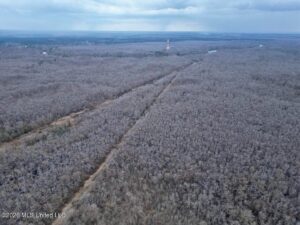 Property photo for land for sale in Calcasieu County Louisiana