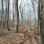 Property photo for land for sale in Davidson County North Carolina