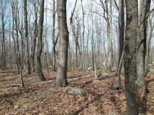 Property photo for land for sale in Davidson County North Carolina