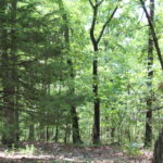 Property photo for land for sale in Boone County Missouri