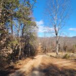 Property photo for land for sale in Alexander County North Carolina