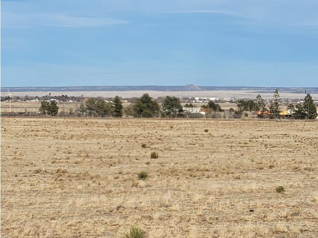 Property photo for land for sale in Torrance County New Mexico