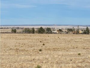 Property photo for land for sale in Torrance County New Mexico