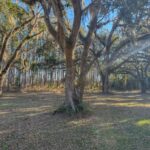 Property photo for land for sale in Taylor County Florida