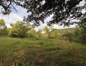 Property photo for land for sale in  County Arkansas