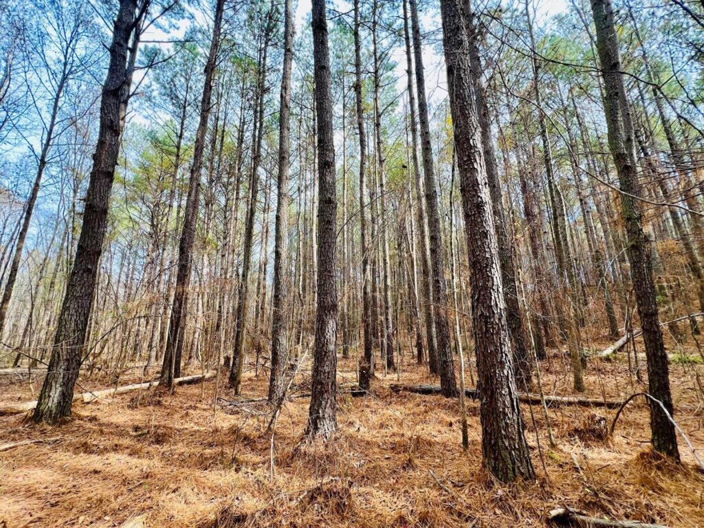 9a4af76a-9dc2-4f46-beda-02c3db0d6f08