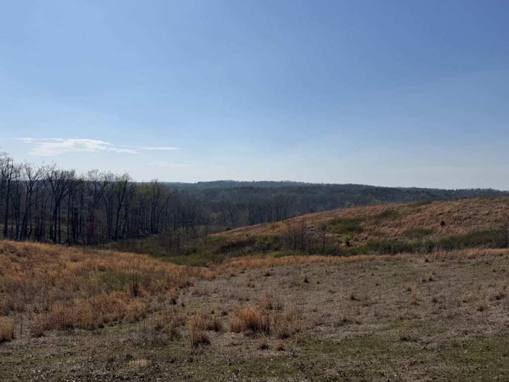 Property photo for land for sale in Hardin County Tennessee