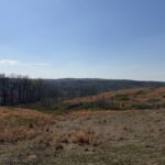 Property photo for land for sale in Hardin County Tennessee